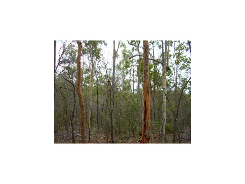 Lowmead QLD 4676