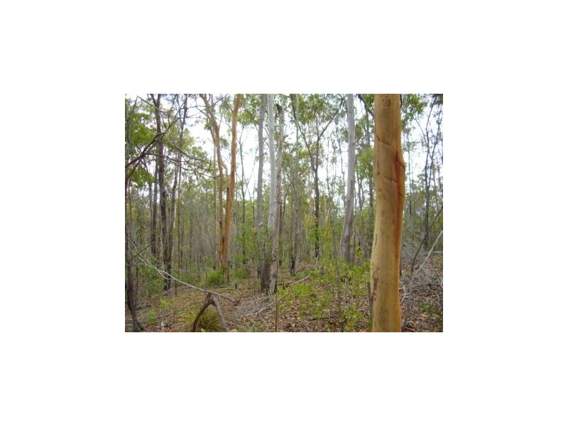 Lowmead QLD 4676