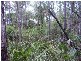 Lowmead QLD 4676