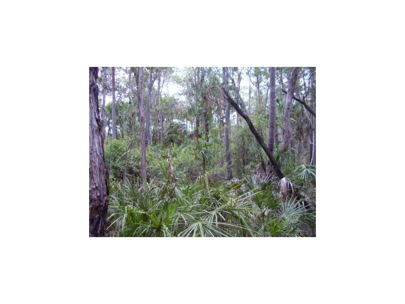 Lowmead QLD 4676