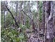 Lowmead QLD 4676