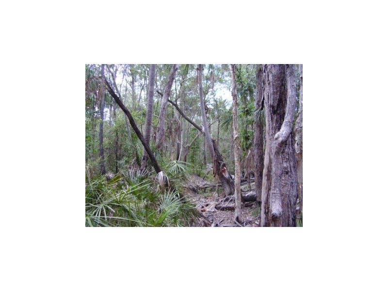 Lowmead QLD 4676