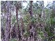 Lowmead QLD 4676