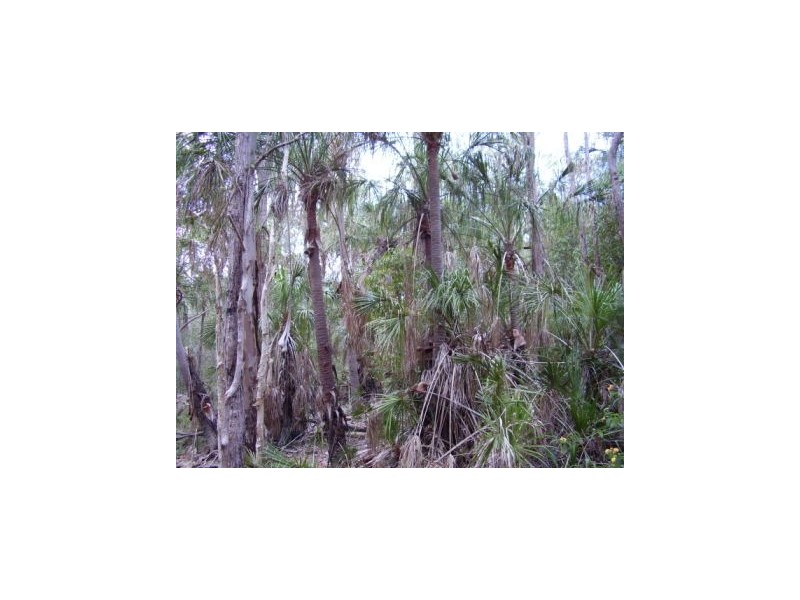 Lowmead QLD 4676