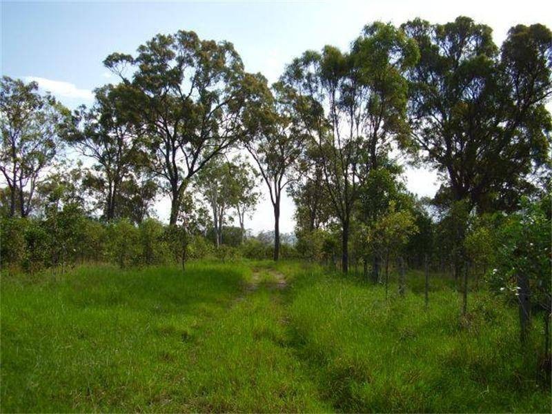 Oyster Creek QLD 4674