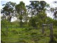 Oyster Creek QLD 4674