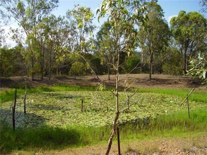 Oyster Creek QLD 4674