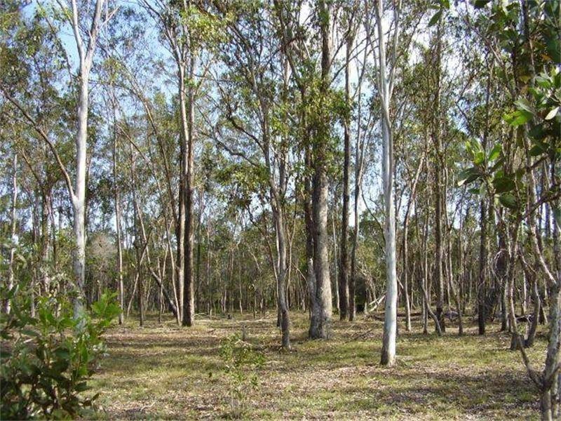 Oyster Creek QLD 4674