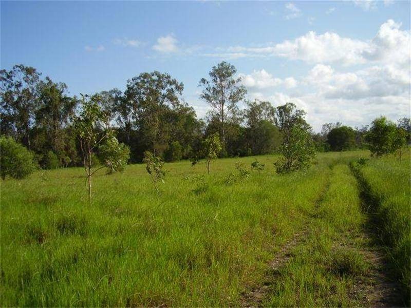 Oyster Creek QLD 4674