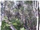 Oyster Creek QLD 4674