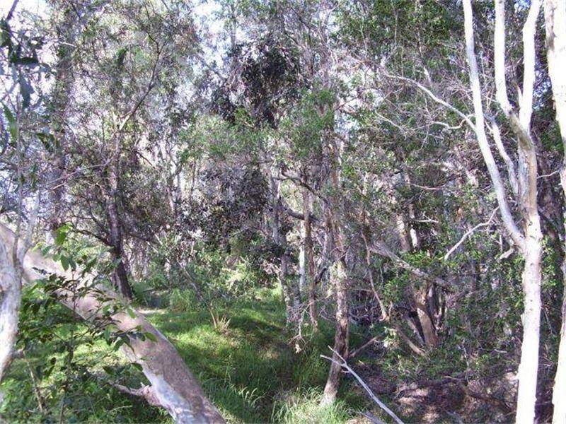 Oyster Creek QLD 4674