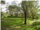 Oyster Creek QLD 4674