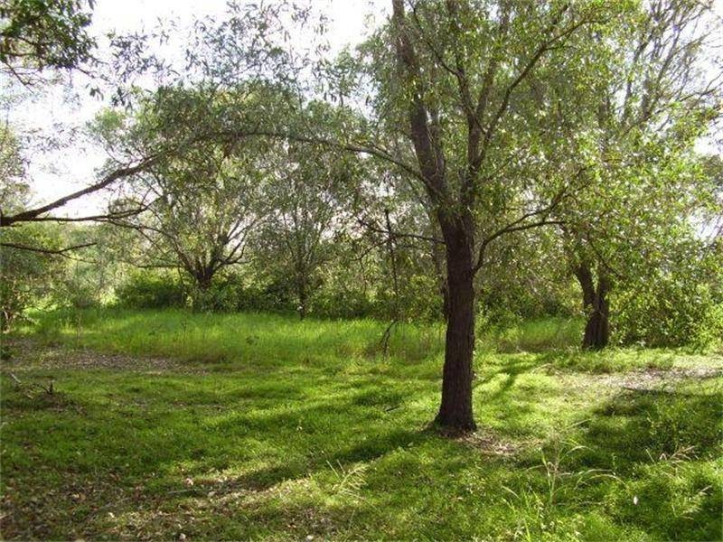 Oyster Creek QLD 4674
