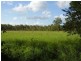 Oyster Creek QLD 4674