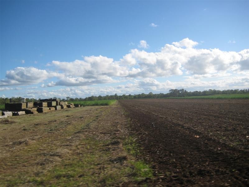 Sharon QLD 4670