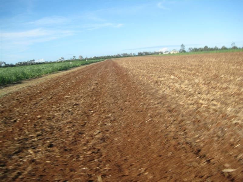 Sharon QLD 4670