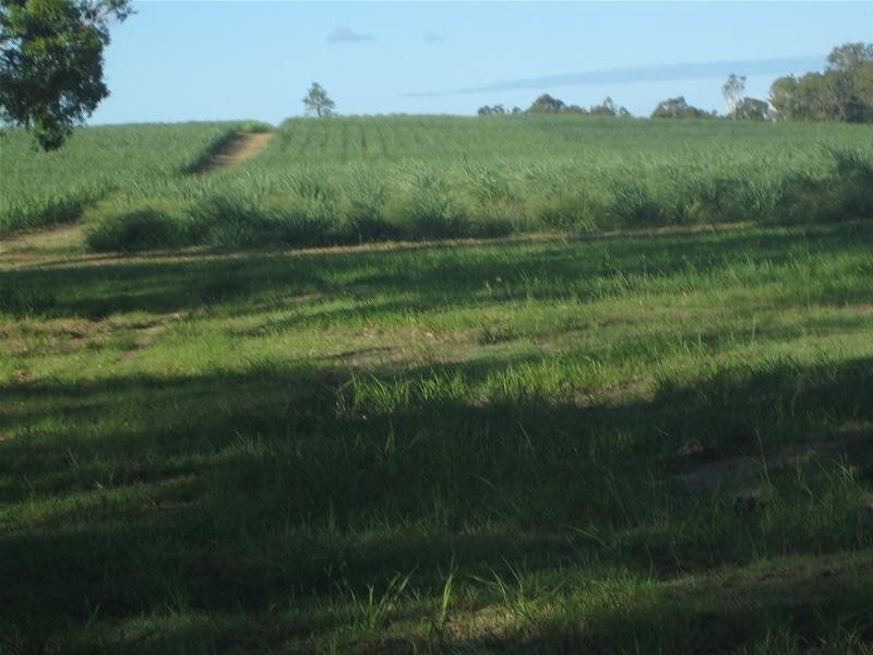 Sharon QLD 4670