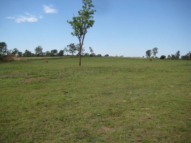 Wallaville QLD 4671