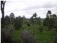 South Kolan QLD 4670