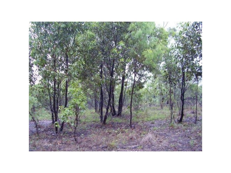 2 Walden Court, Turkey Beach QLD 4678