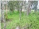 Bungadoo QLD 4671