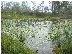Bungadoo QLD 4671