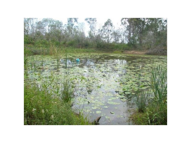 Bungadoo QLD 4671
