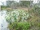 Bungadoo QLD 4671