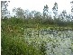 Bungadoo QLD 4671