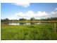 Waterloo QLD 4673