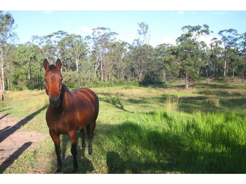 Waterloo QLD 4673