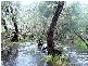 Morganville QLD 4671