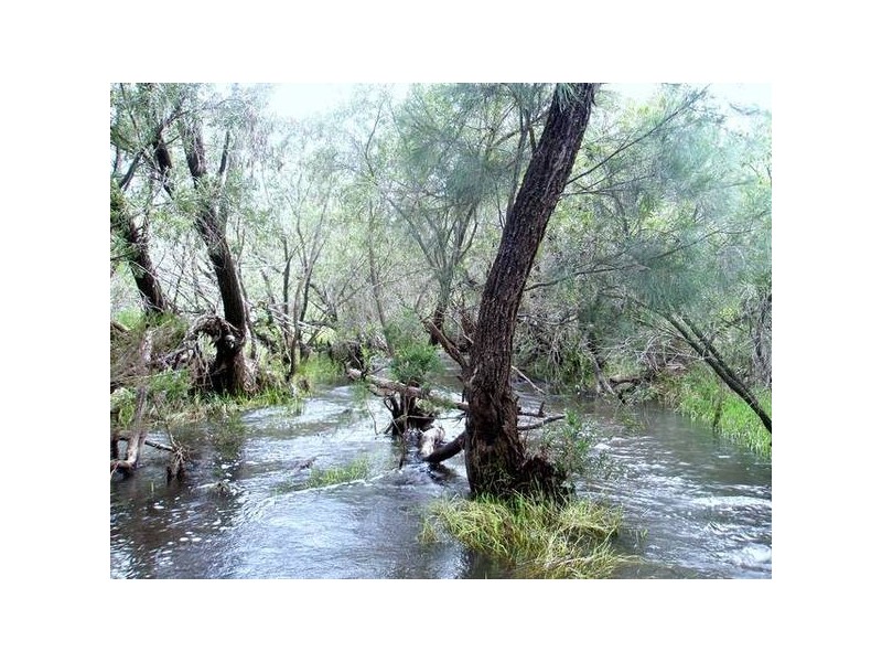 Morganville QLD 4671