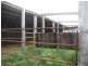 Morganville QLD 4671