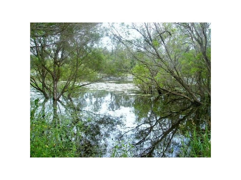 Morganville QLD 4671