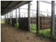 Morganville QLD 4671