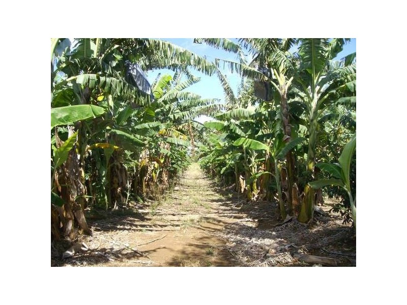 Burnett Heads QLD 4670