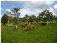 Yandaran QLD 4673