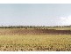 Avondale QLD 4670