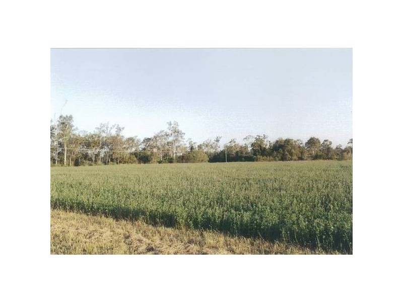 Avondale QLD 4670