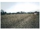 Avondale QLD 4670