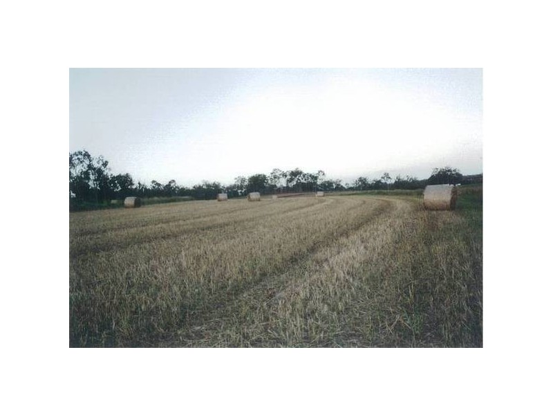 Avondale QLD 4670