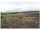 Avondale QLD 4670