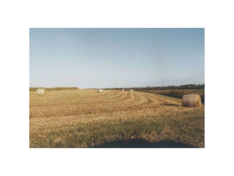 Avondale QLD 4670