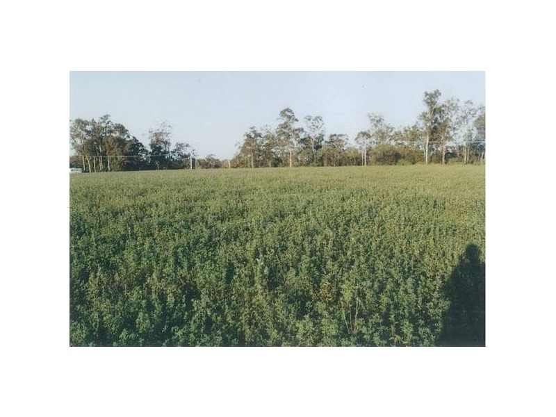 Avondale QLD 4670