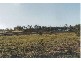 Avondale QLD 4670
