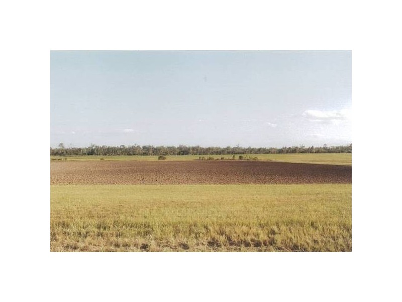 Avondale QLD 4670