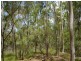 Euleilah QLD 4674