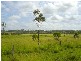 Rosedale QLD 4674