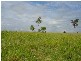 Rosedale QLD 4674
